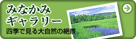 �݂Ȃ��݃M�������[�@�l�G�Ō���厩�R�̐�i