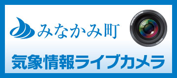 みなかみ 気象情報ライブカメラ