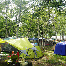 宝台樹キャンプ場