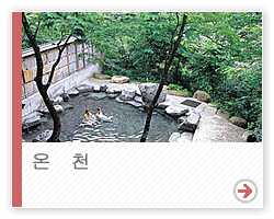 온천
