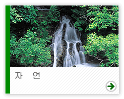 자연
