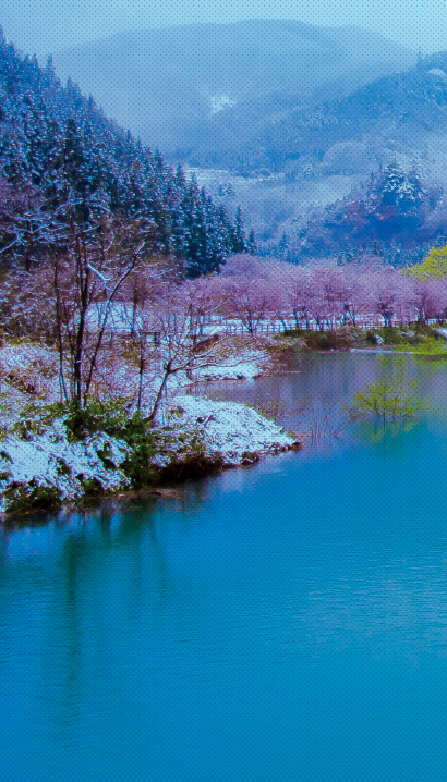 背景