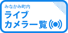 みなかみ町ライブカメラ一覧